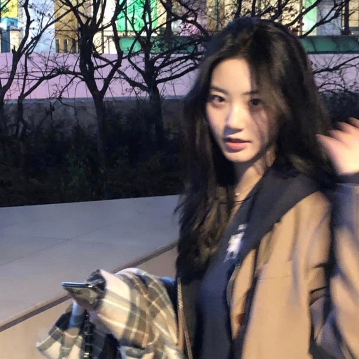 路～台湾特快～